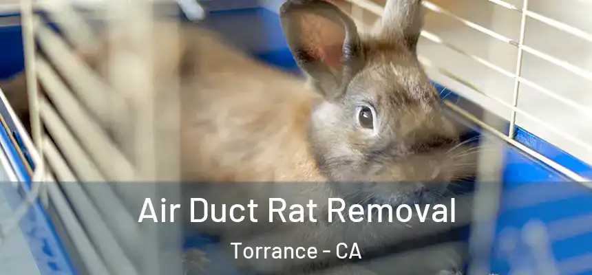  Air Duct Rat Removal Torrance - CA