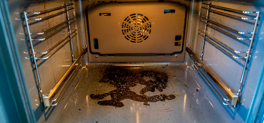 Our Dryer Vent Mold Cleaning Services in Torrance, CA