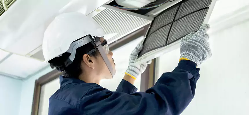 Our Mold & Mildew Removal from Air Ducts Services in Torrance, CA