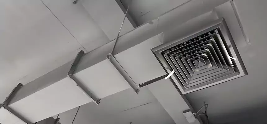 Our Rodent Droppings In Vents Services in Torrance, CA