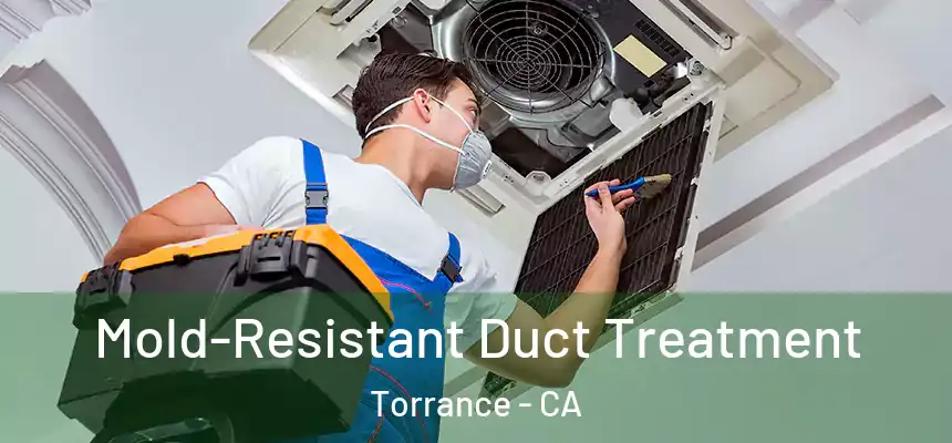  Mold-Resistant Duct Treatment Torrance - CA