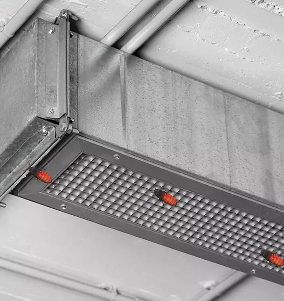 About Air Duct Cockroach Removal in Torrance, CA