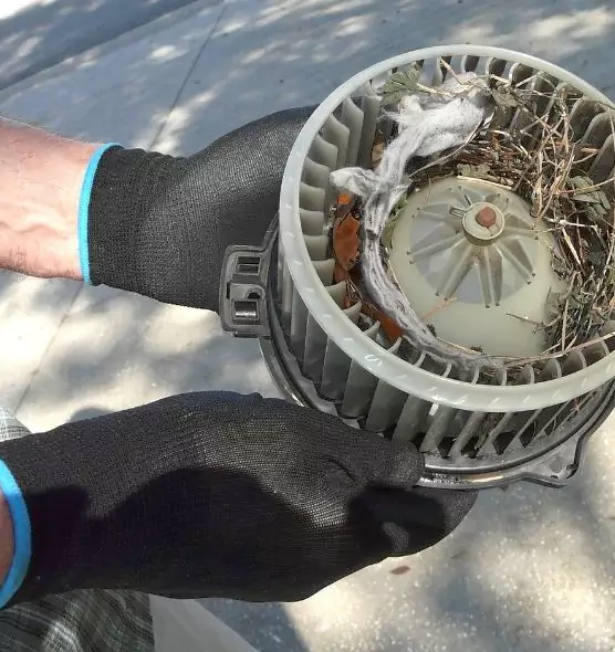 About Air Duct Rat Removal in Torrance, CA