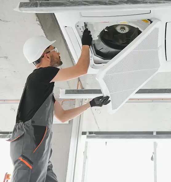 About Air Duct Rodent Removal in Torrance, CA