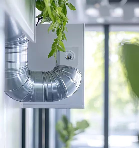 Professional Eco-Friendly Duct Cleaning Services in Torrance, CA