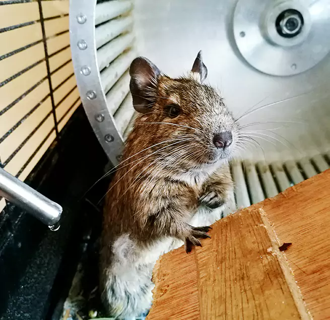 Why Homeowners & Businesses Trust Us Torrance, CA