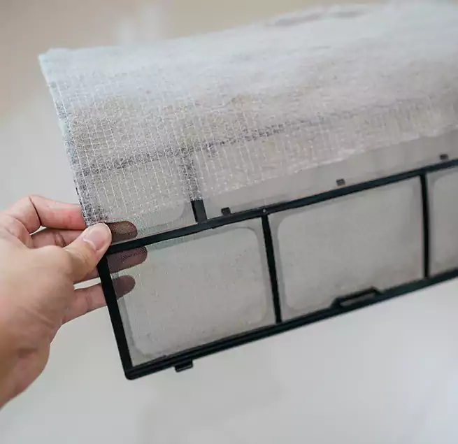 Why Homeowners & Businesses Trust Us in Torrance, CA?