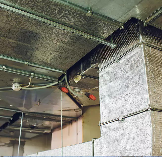 Why Homeowners & Businesses Trust Us Torrance, CA?