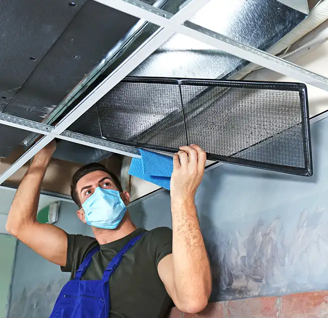 Why Homeowners & Businesses Trust Us in Torrance, CA?