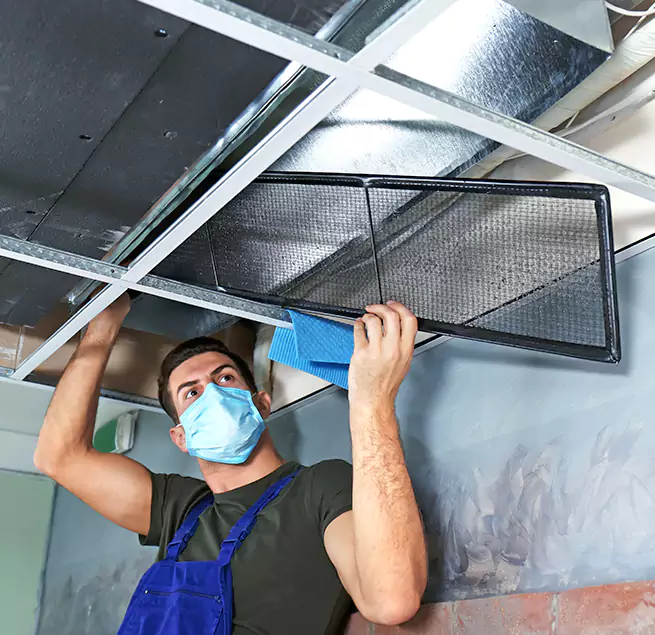 Why Homeowners & Businesses Trust Us in Torrance, CA?